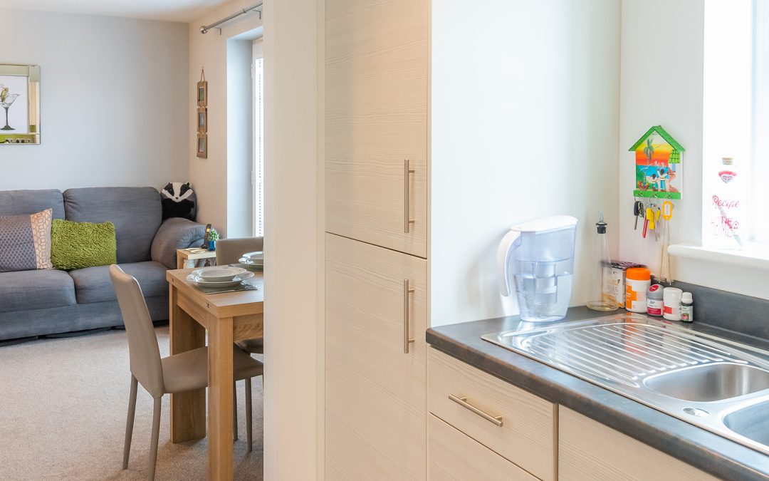 Egyptian Goose Road, Sprowston