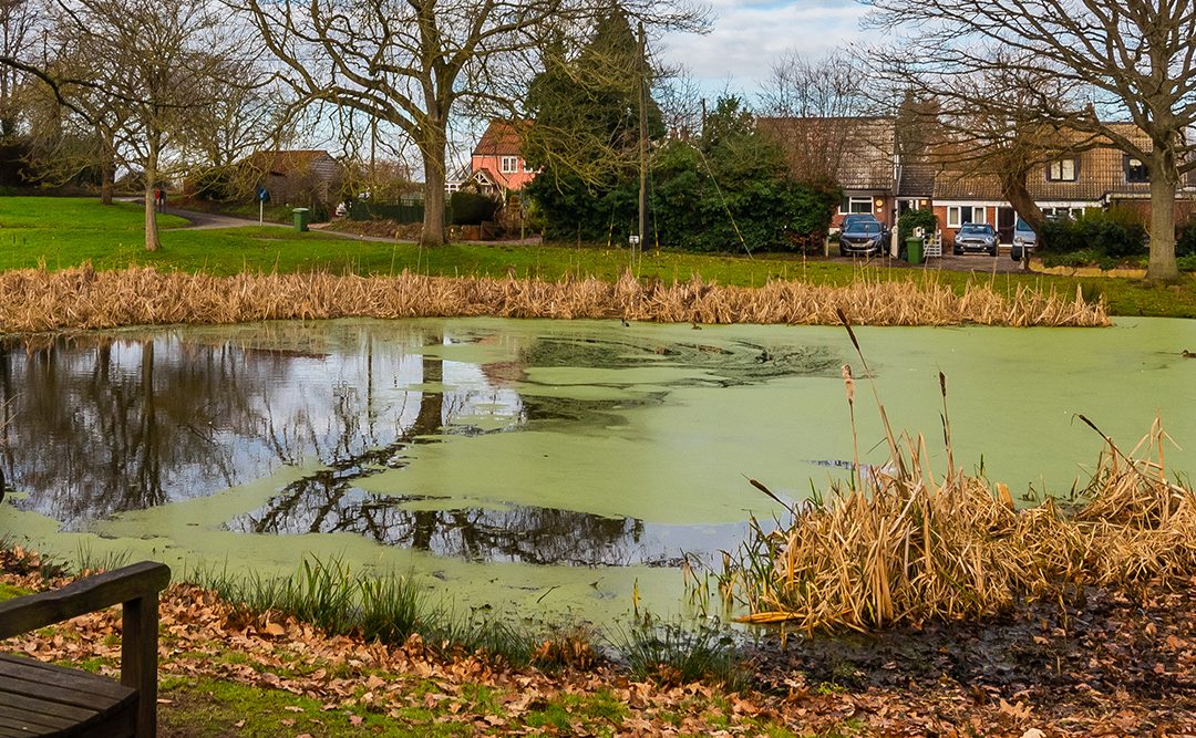 Frogge Lane, Great Hautbois