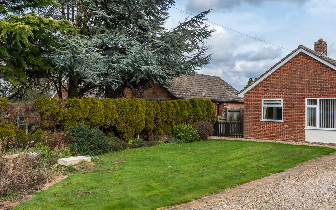 Patricia Avenue, Horstead